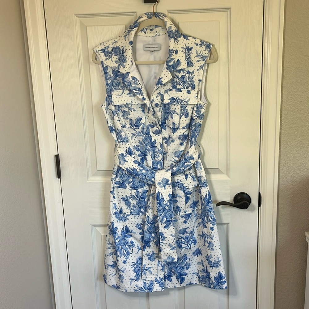 New (other-see description) Molly Moorkamp Natasha Dress size 4